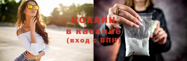 сатива Абаза