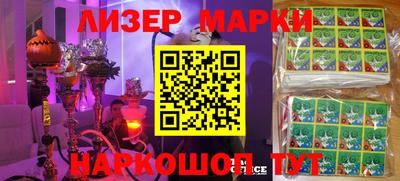 гидра Бердск