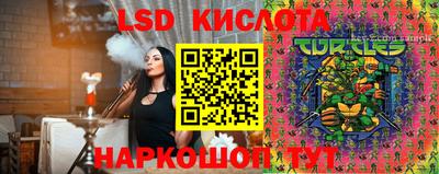 гидра Бердск