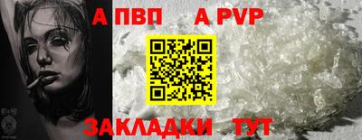 гидра Бердск