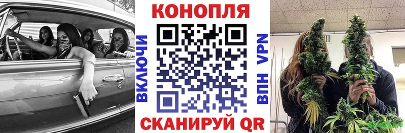 наркота  Северодвинск  Бошки марихуана конопля 